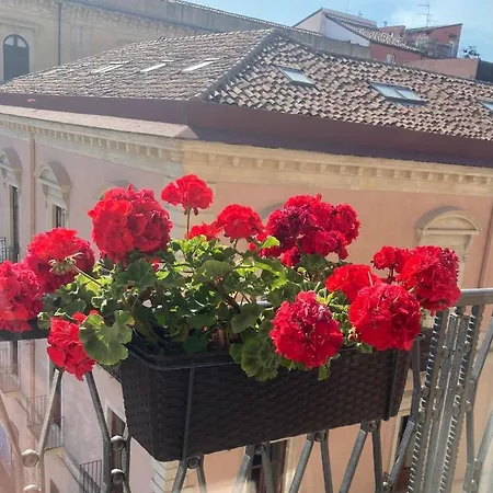 Bed & Breakfast Oriental Palace CTA